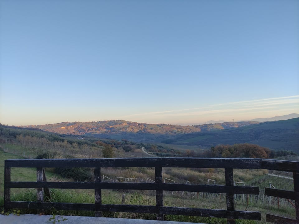 View from property