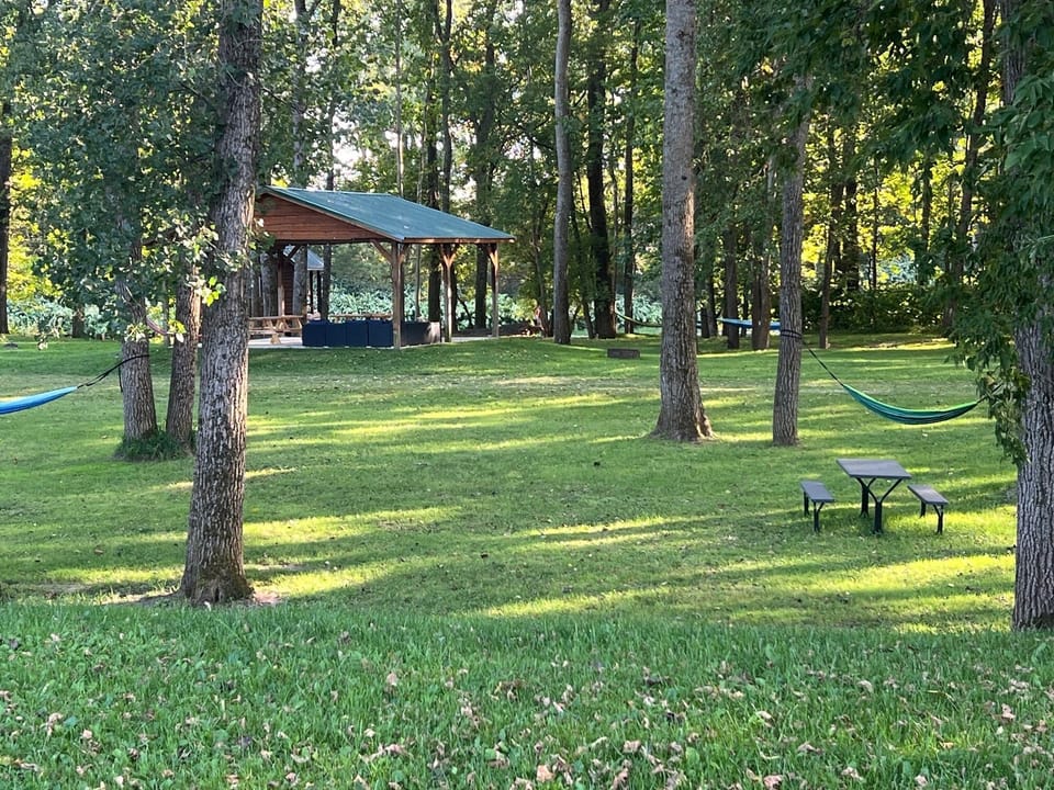 OTRTTW Hammok and Table Shared Area
