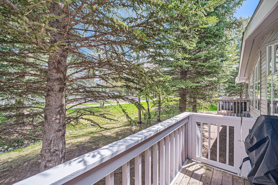 Rentals in Vail