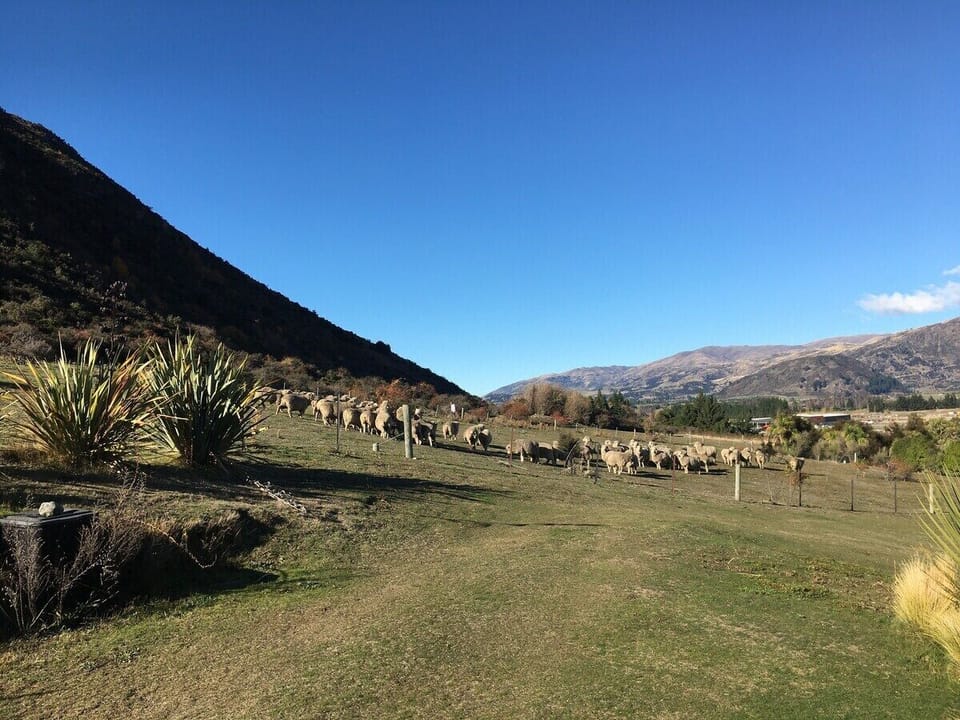 a rural feel right behind the house