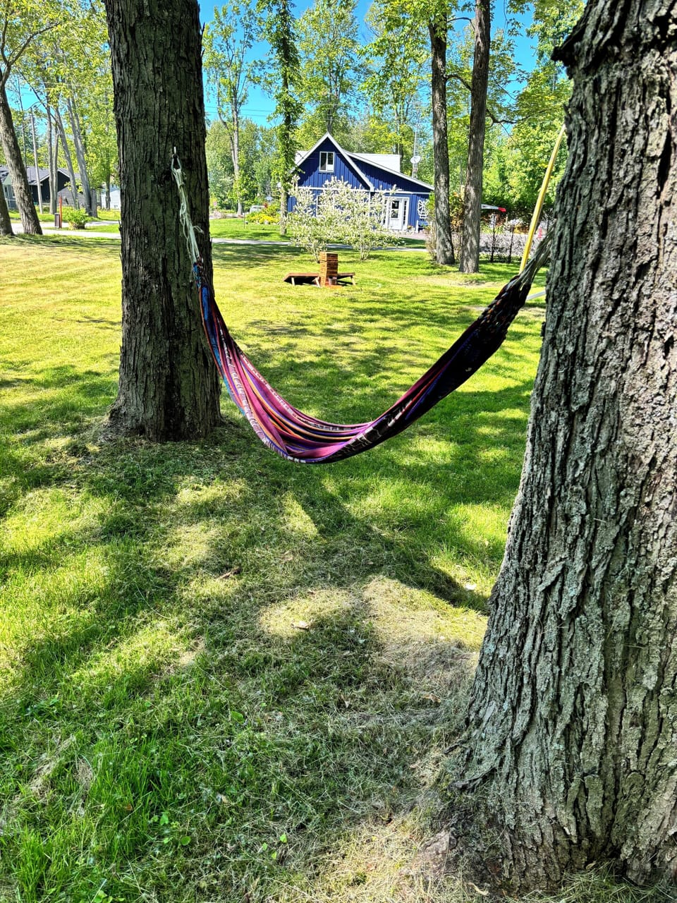 Hammock 