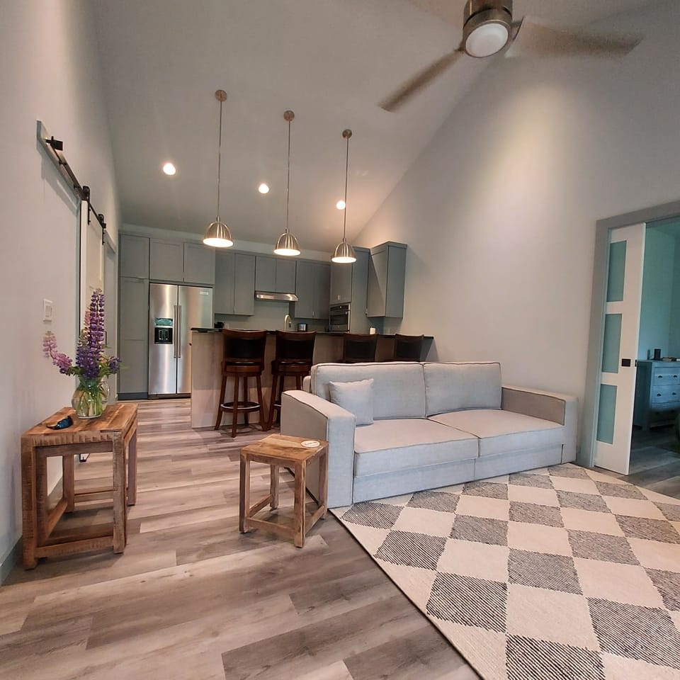 Coddle switch Sofa Queen bed