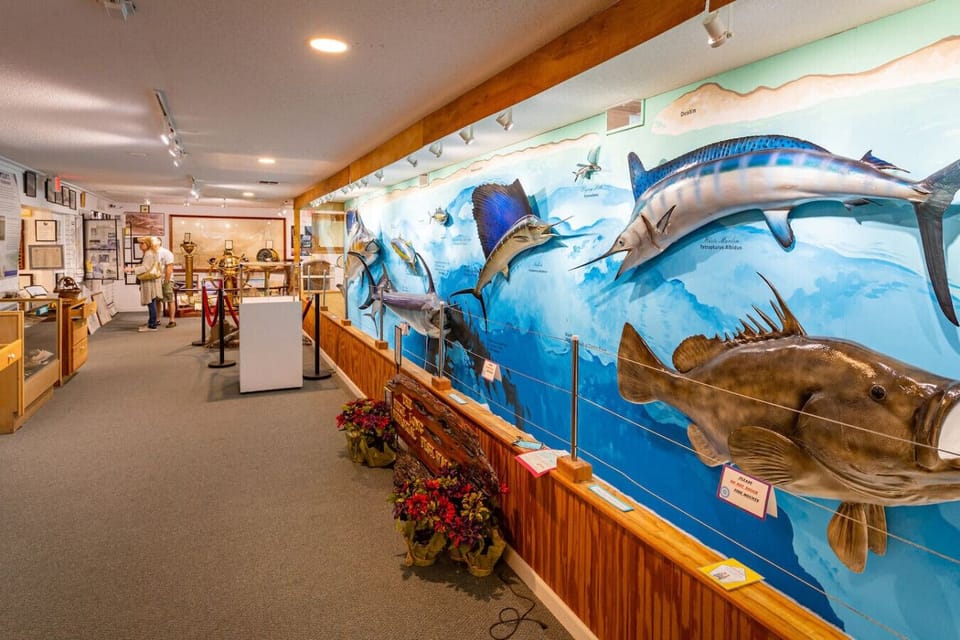 A 15-minute drive brings you to the Destin History & Fishing Museum, where you can explore local maritime history and discover the town`s fishing legacy.