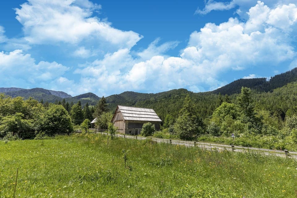 Immediate Surroundings [summer] (<1 km)