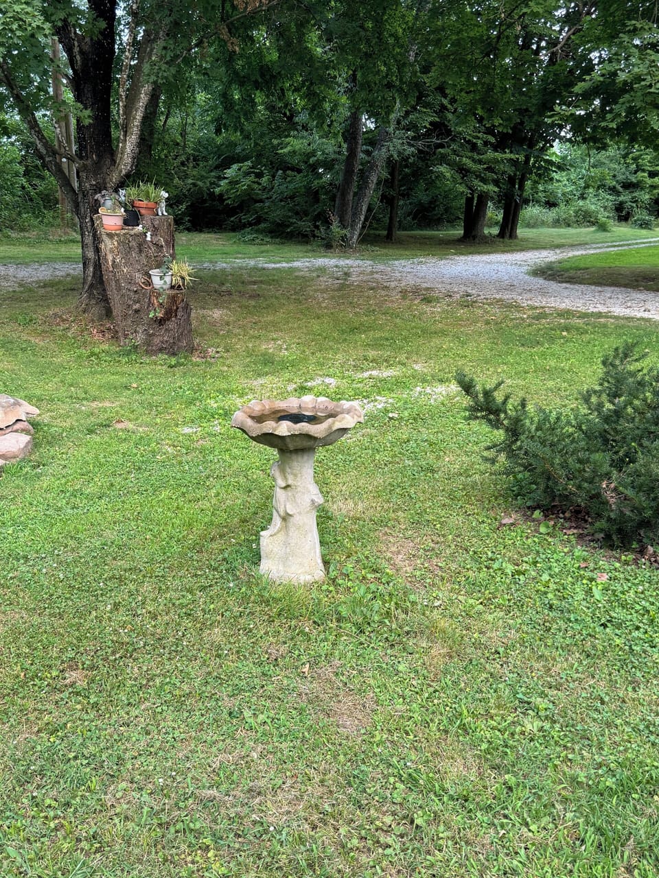 Landscaped areas to enjoy
