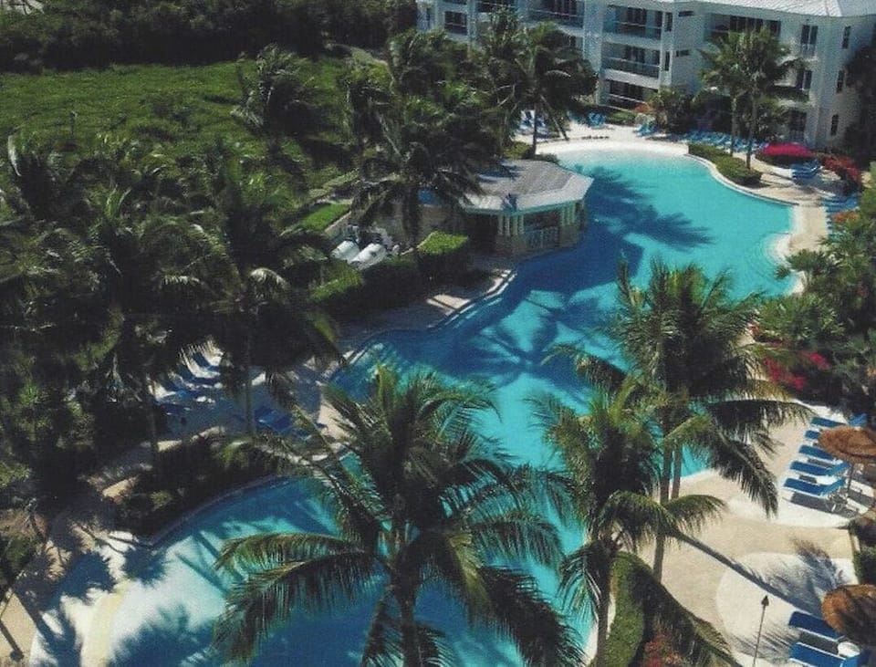Oasis Pool Overhead