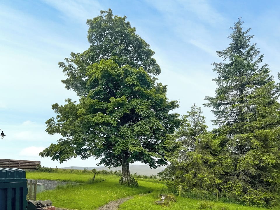 Outdoor area | High Plain Lodge - Pennine Retreats, Alston