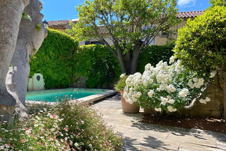 La Maison de Clervie -jardin