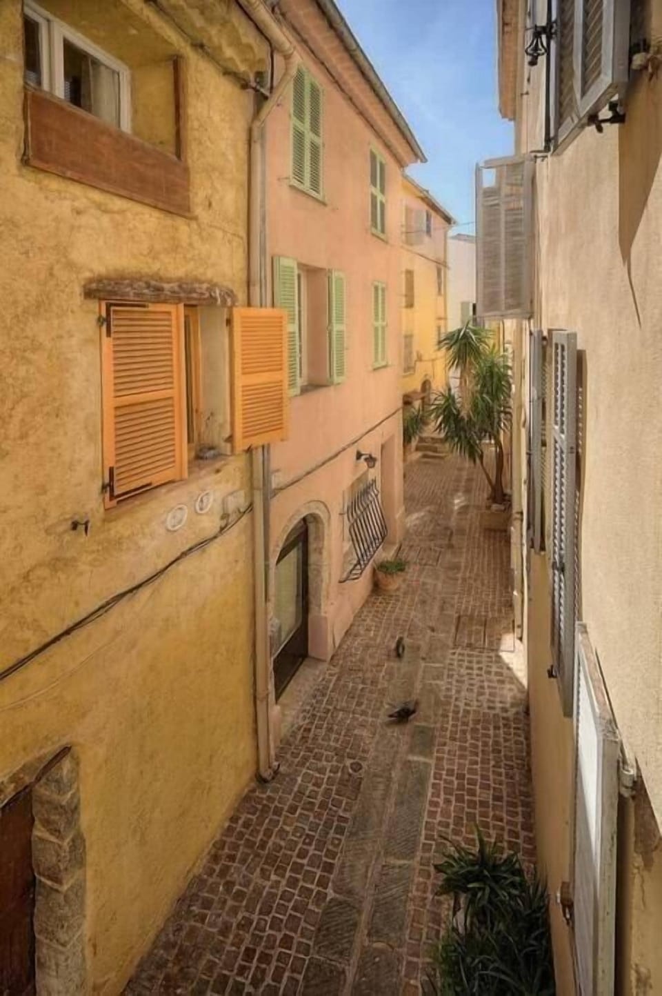 Vue depuis l'appartement