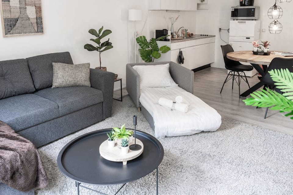 Versatile and stylish, this sofa bed seamlessly transforms your space from cozy seating to a comfortable bed.