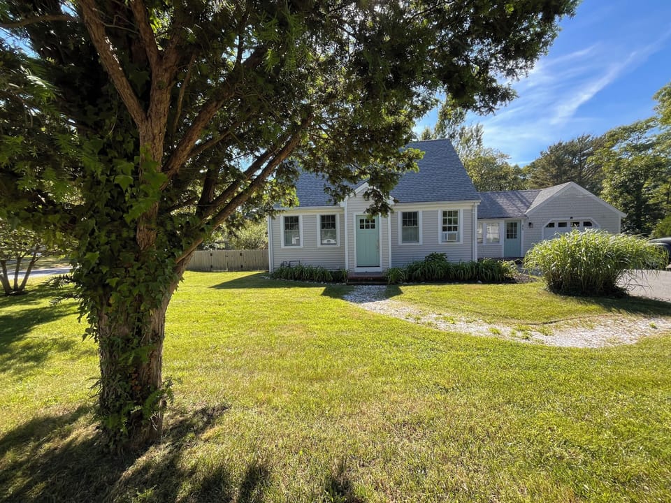 Large yard and fenced in backyard