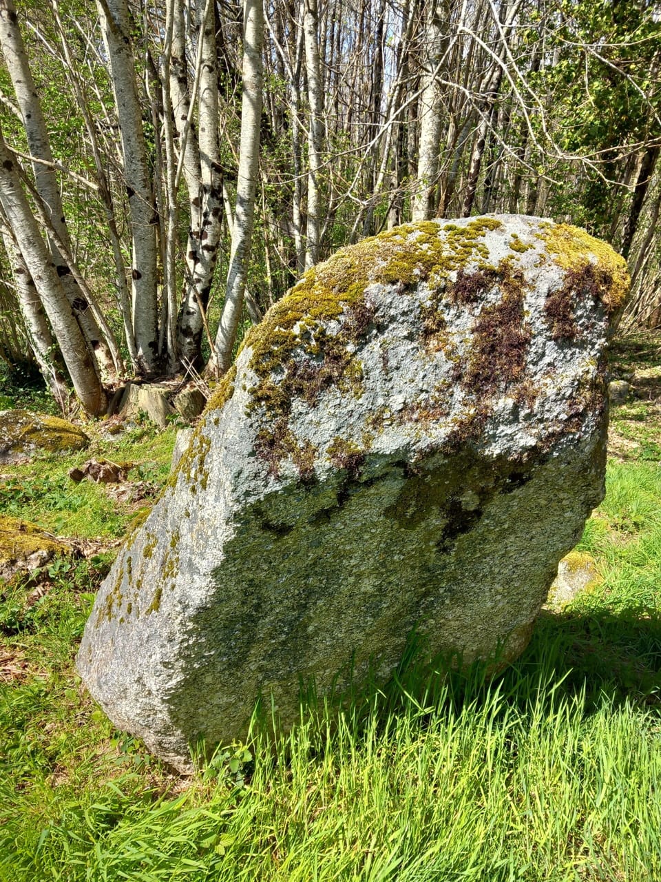 Menhirs and dolmens in the Monts de Blond