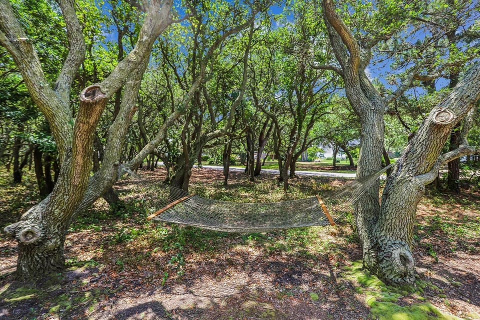 Spacious Backyard with Hammock