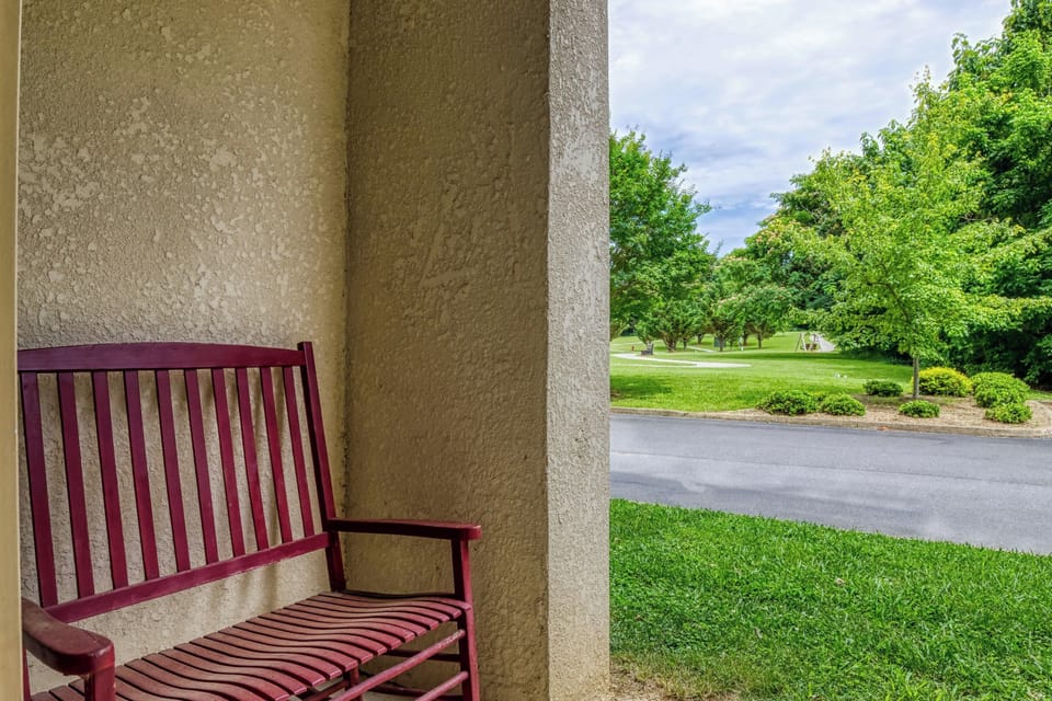 Outdoor Patio Chair, Grass, Trees, Bushes, Outdoor Patio, Trees, Grass, Road.