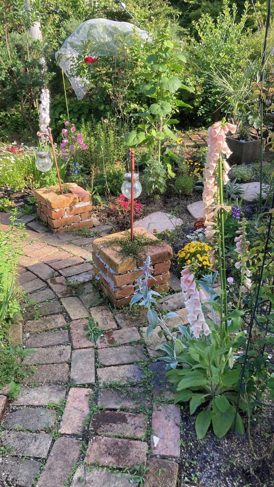 This is an early summer garden.