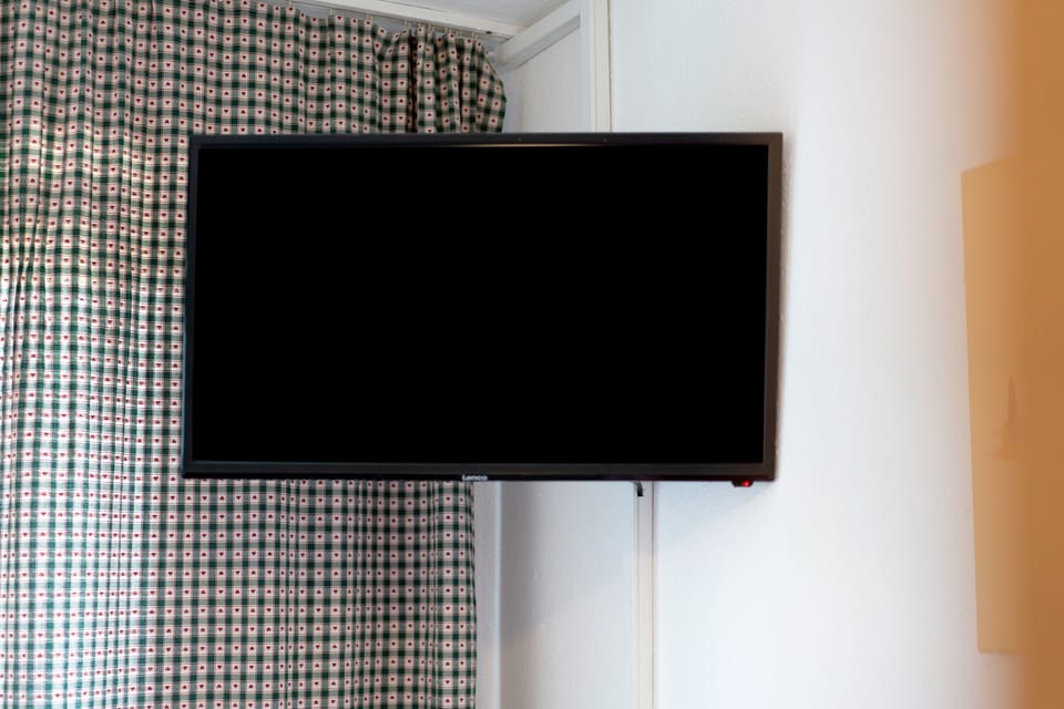 Television