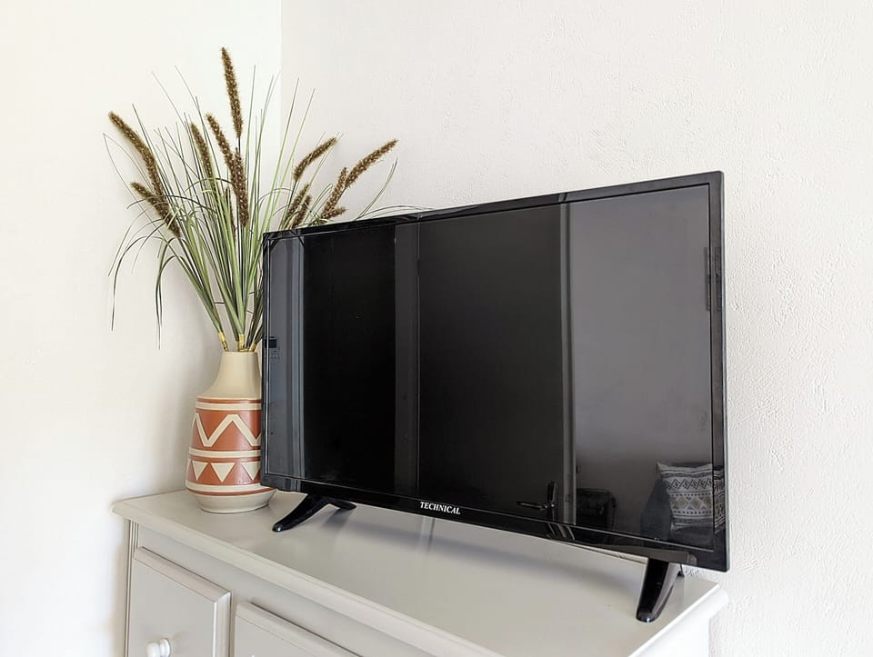 Television