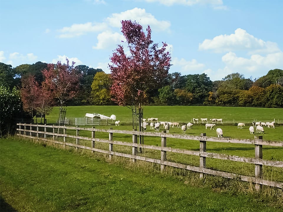 Surrounding area | Oaklands Farm- Cottage 1 - Oaklands Farm, East Tytherley
