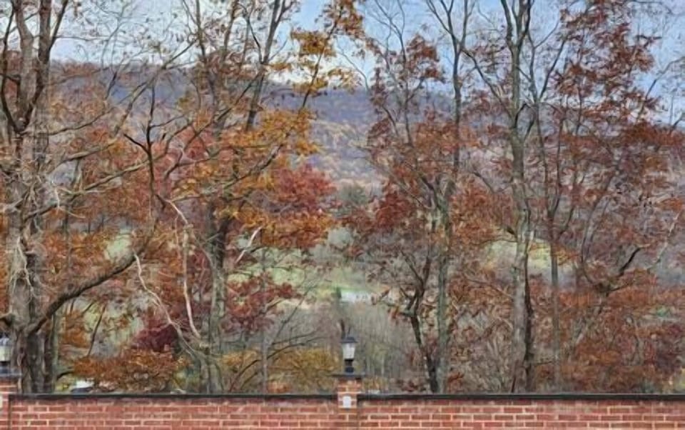 6a5ae7fd b421 4dd9 8e45 585b57b899ef