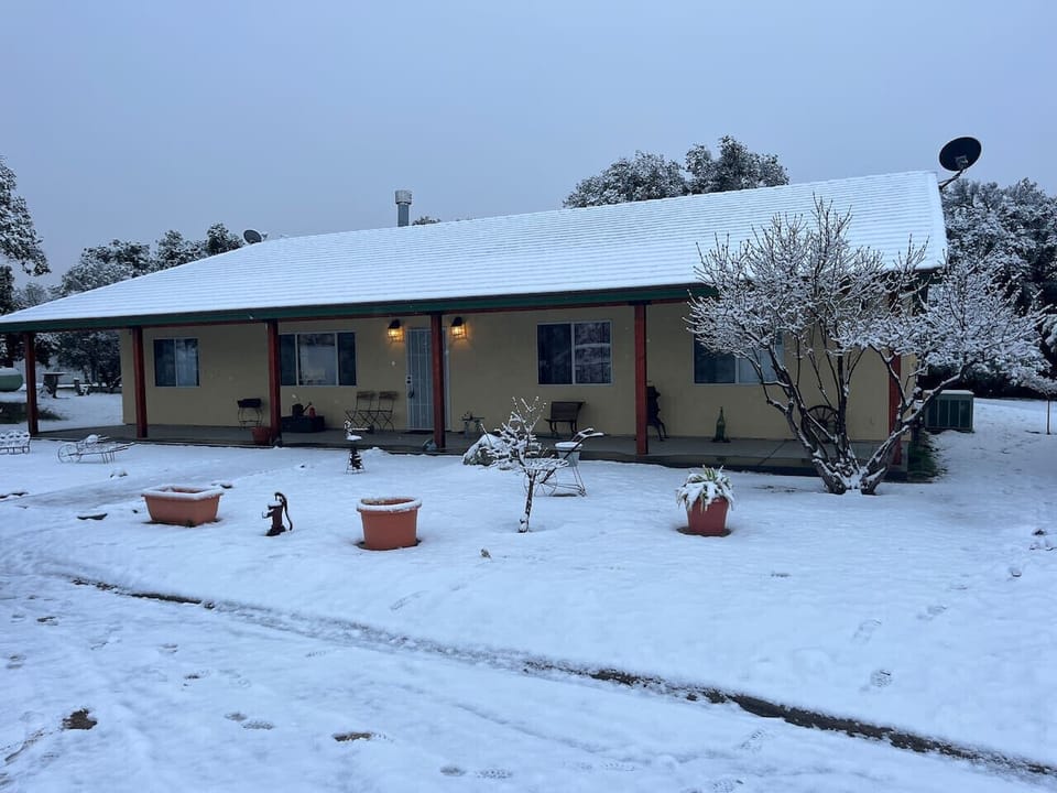 Winter wonderland