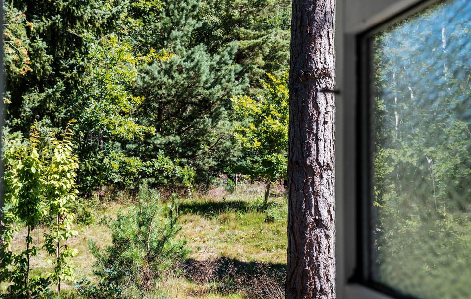 view-from-room