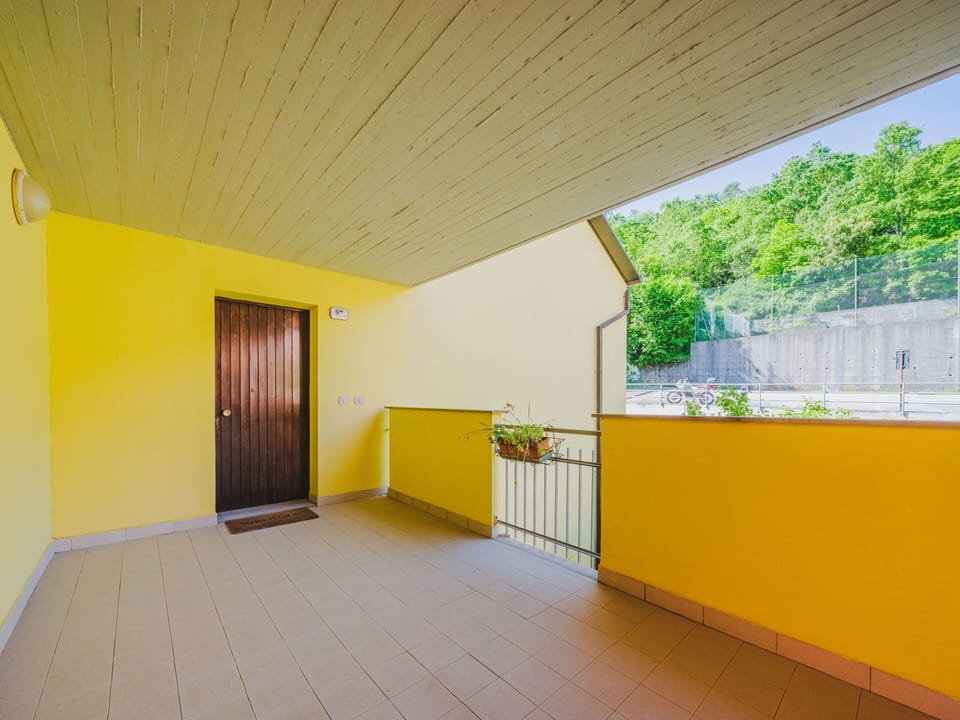 Wood, Window, Interior Design, Houseplant, Plant, Flooring, Floor, Building, Hall
