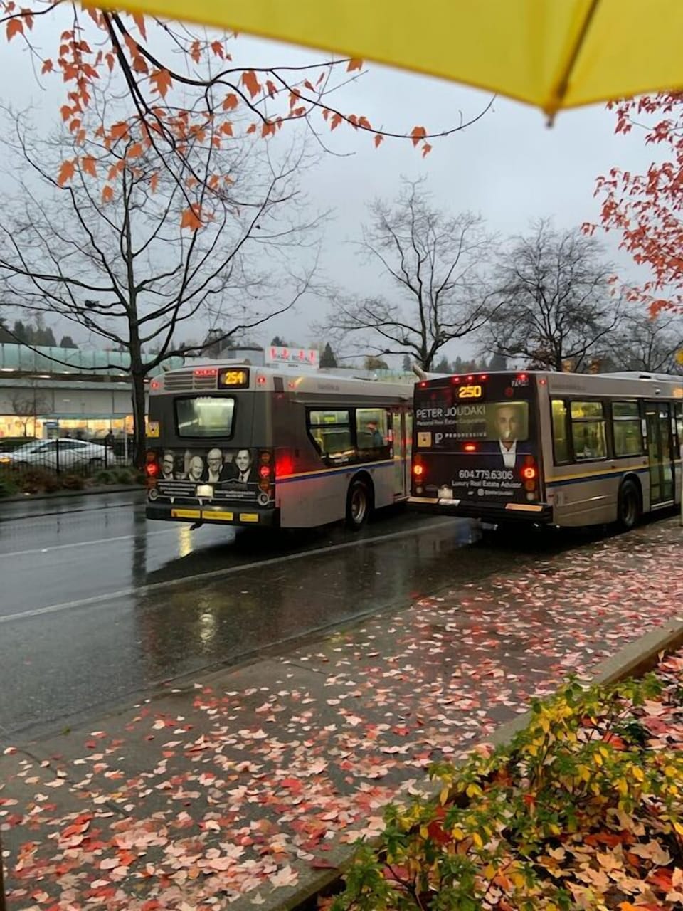 Park Royal Bus station with access to everywhere in the city