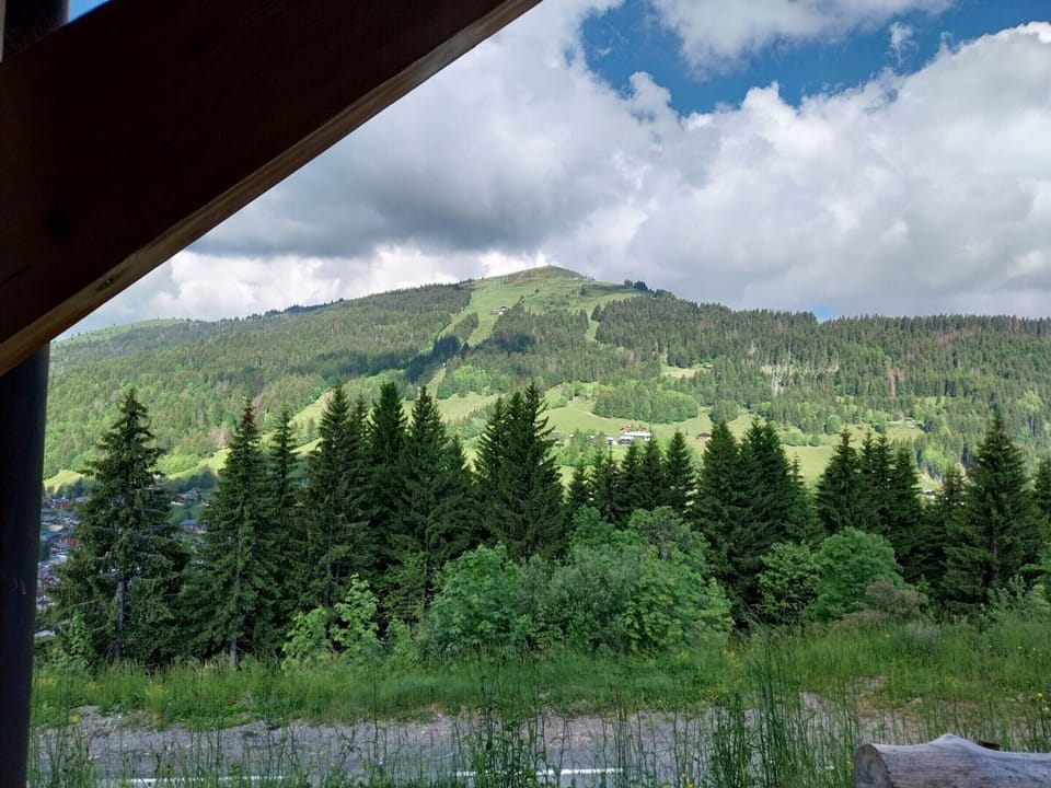 View from property