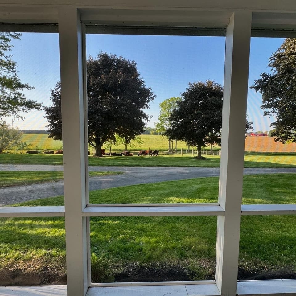 Relax on the porch and enjoy the chorus of birds all day long.