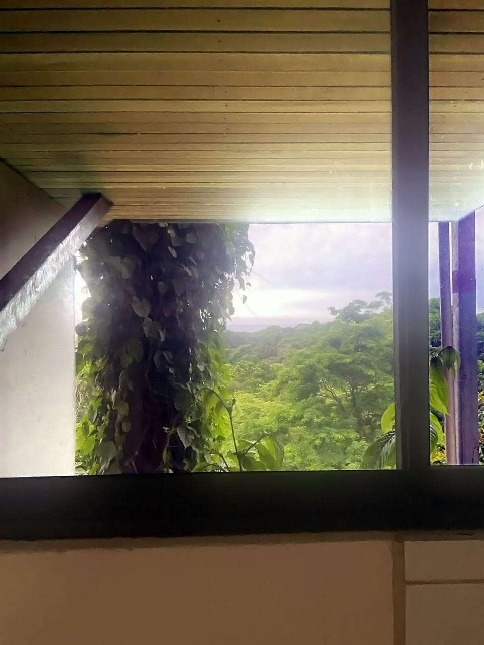 View from property