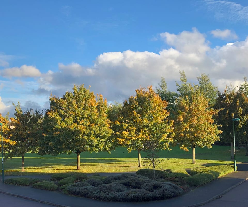Park view