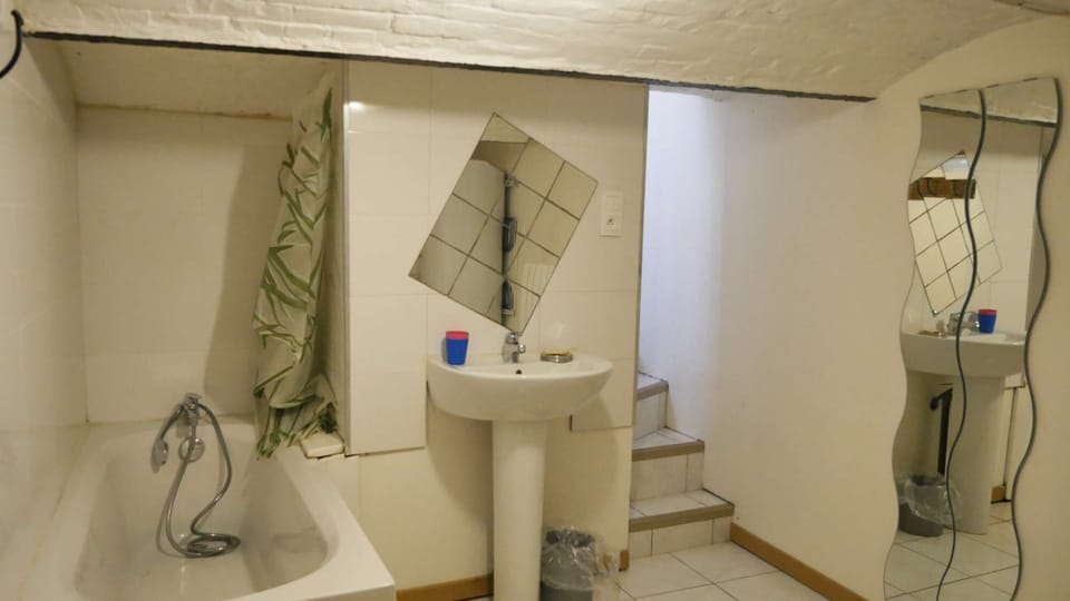 Very clean and healthy bathroom in the basement in this typical house, a little low ceiling so watch your head over 1m80!