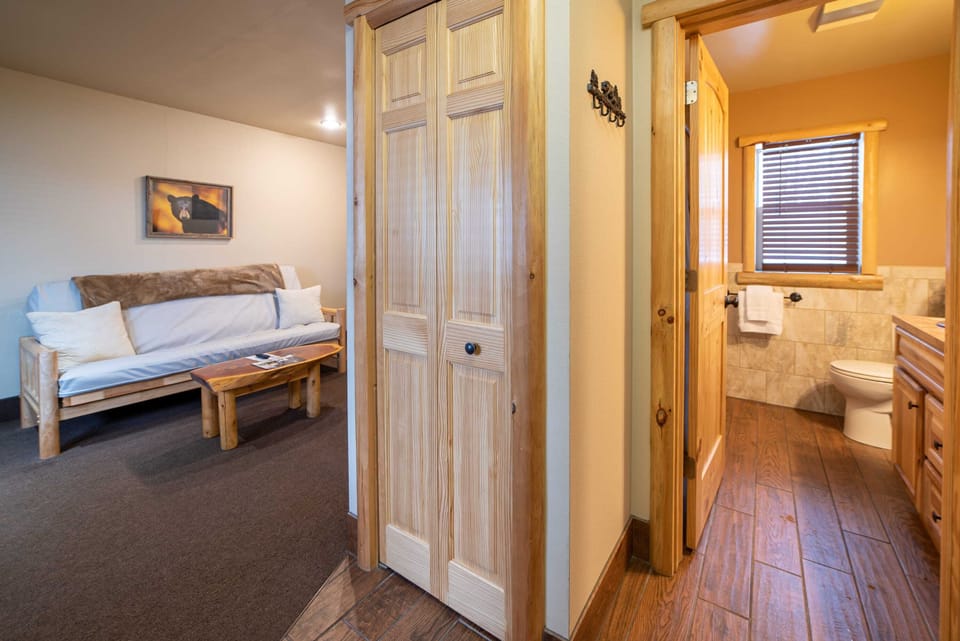Entrance view of the living room area, the coat closet and the bathroom.