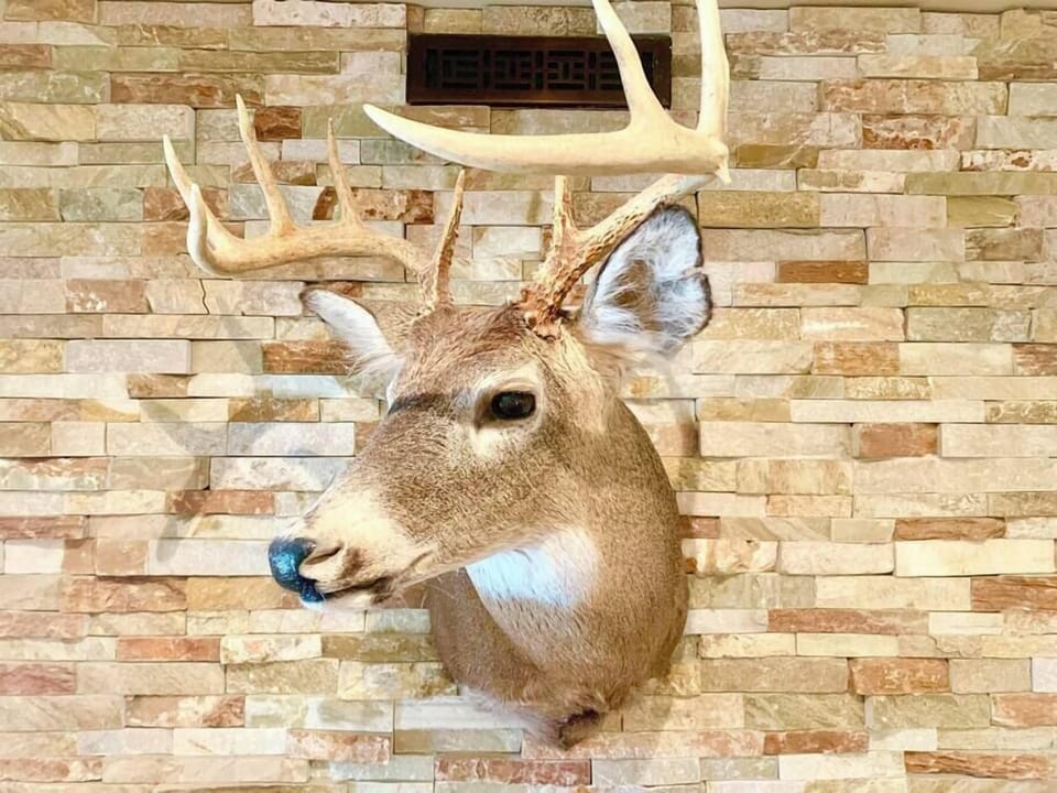 deer mount