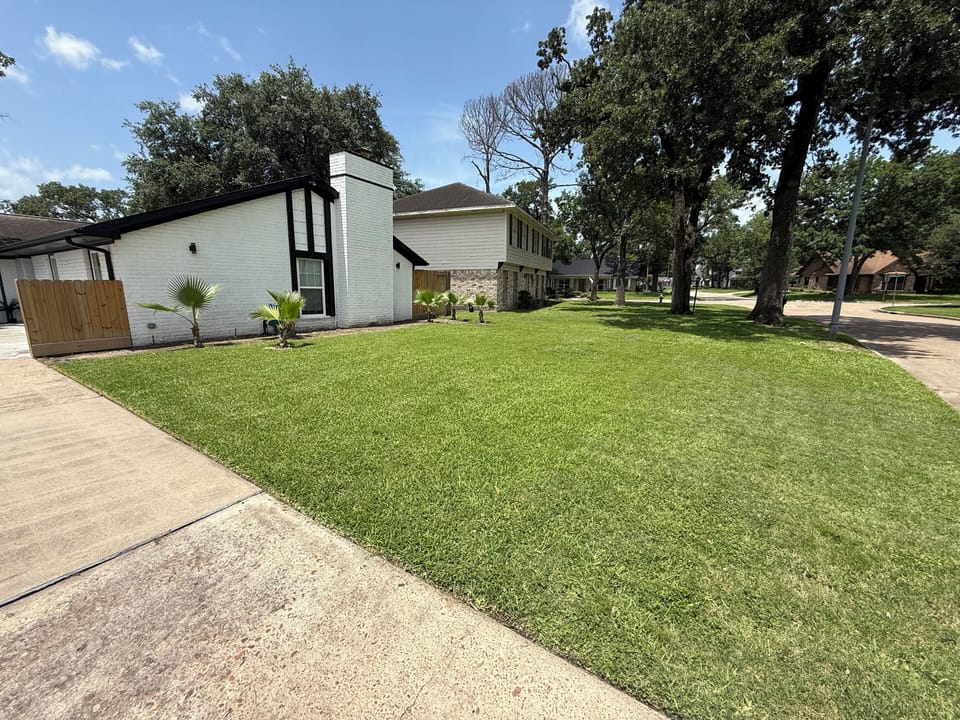 Front Yard