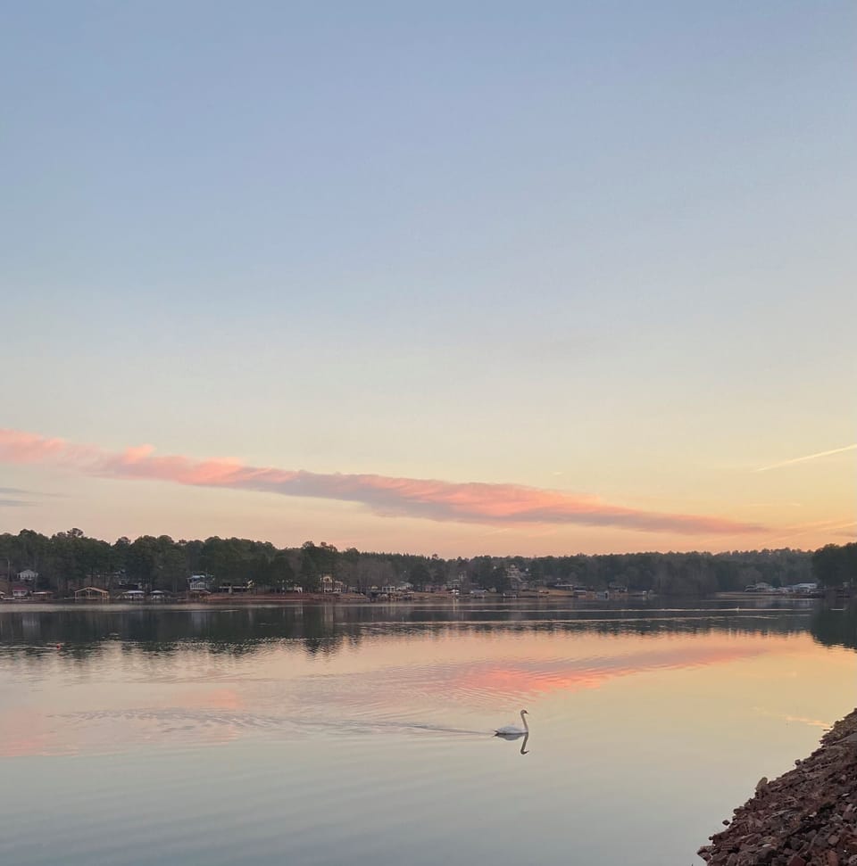 Ahhh, peace and tranquillity.