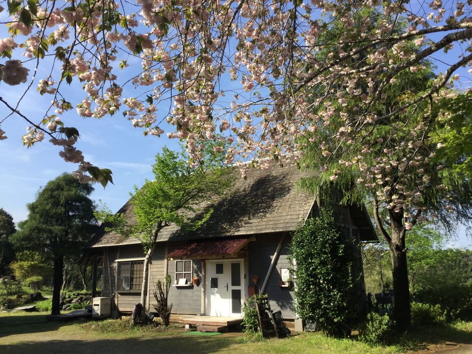 Outlook in Spring