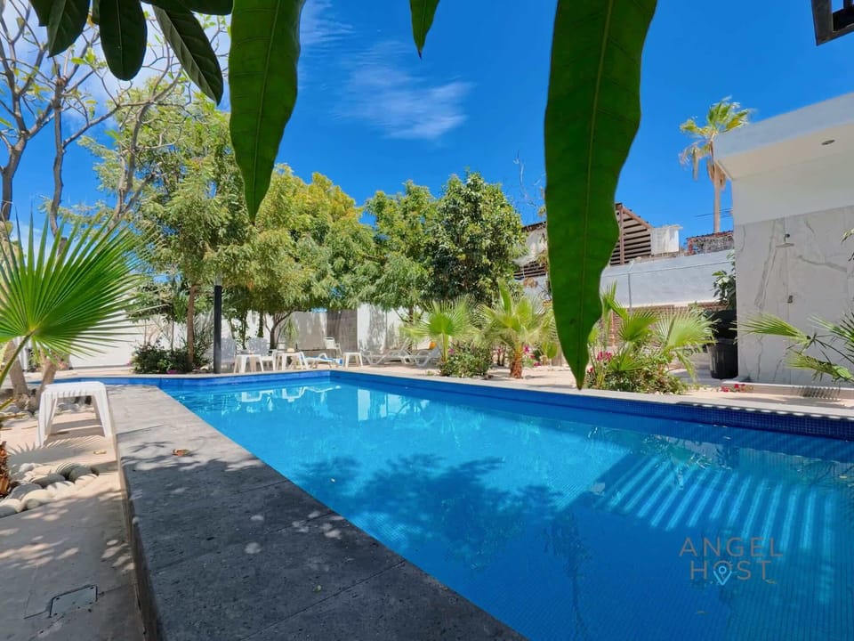 Outdoor pool surrounded by greenery and light.