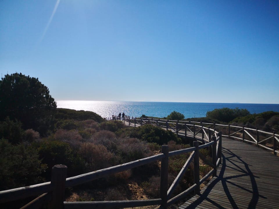 Beach/ocean view