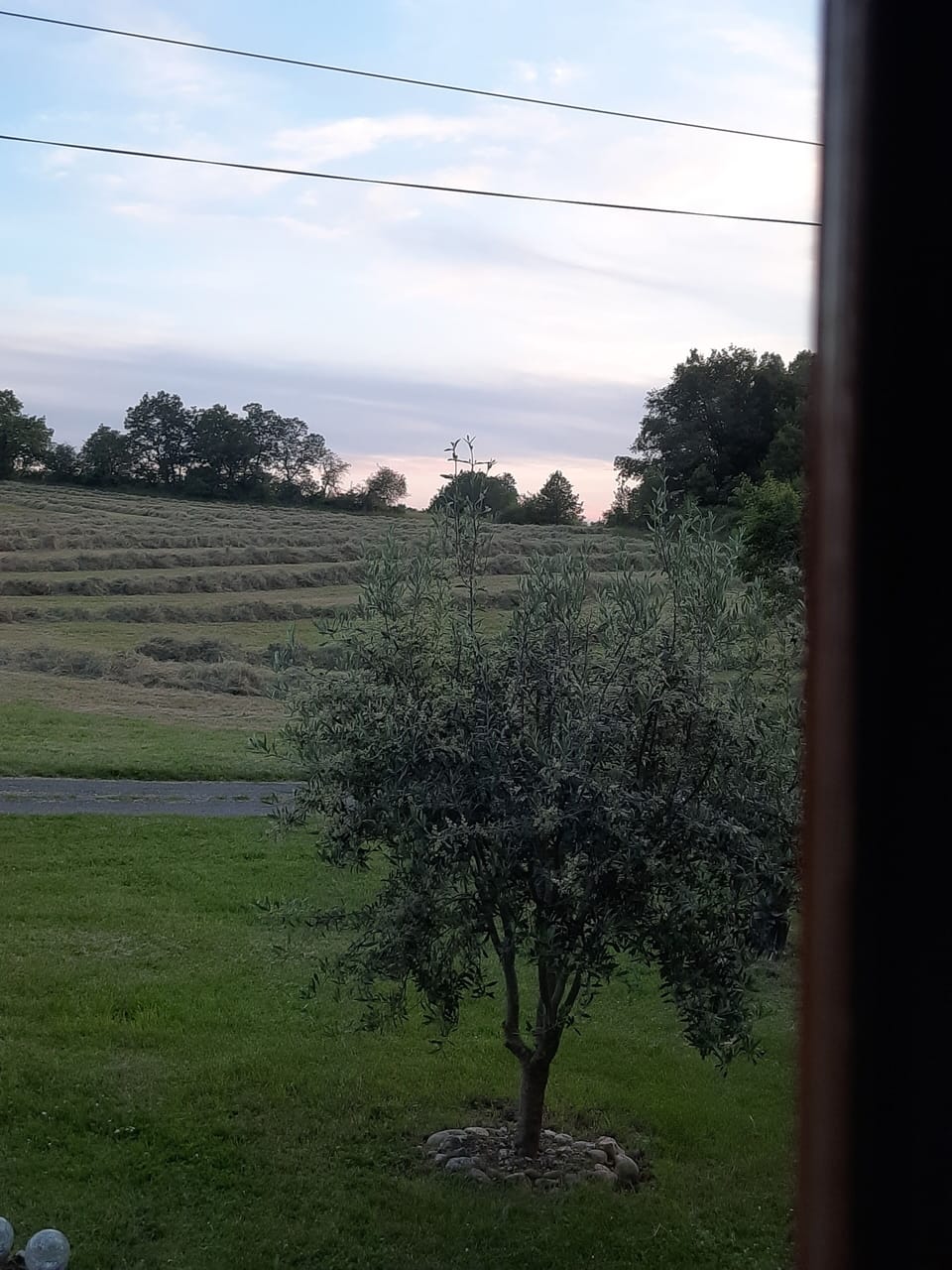View from property