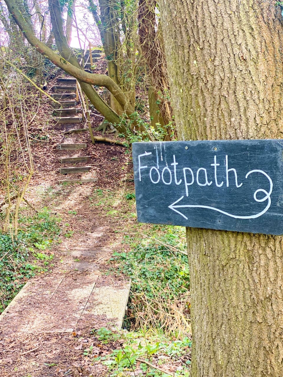 steps onto the walking path