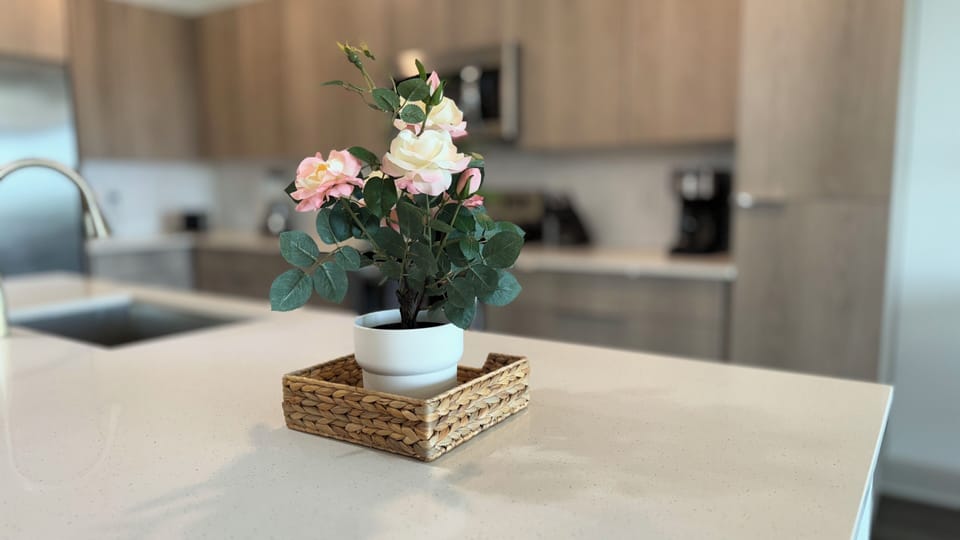 Kitchen (2)