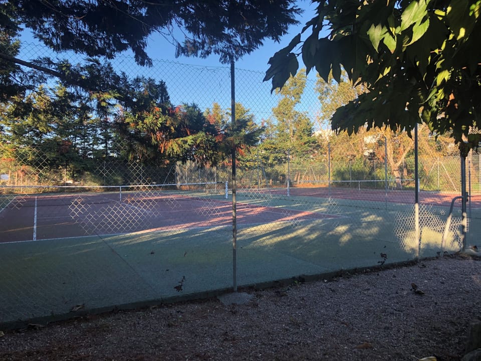 Sport court