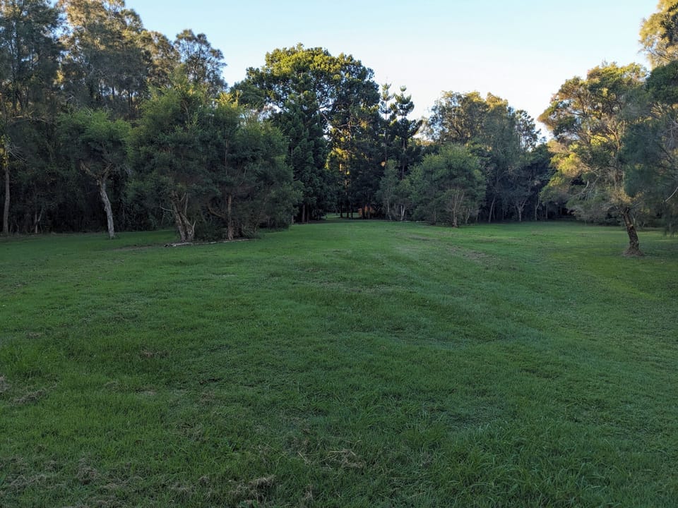 Open grassy areas