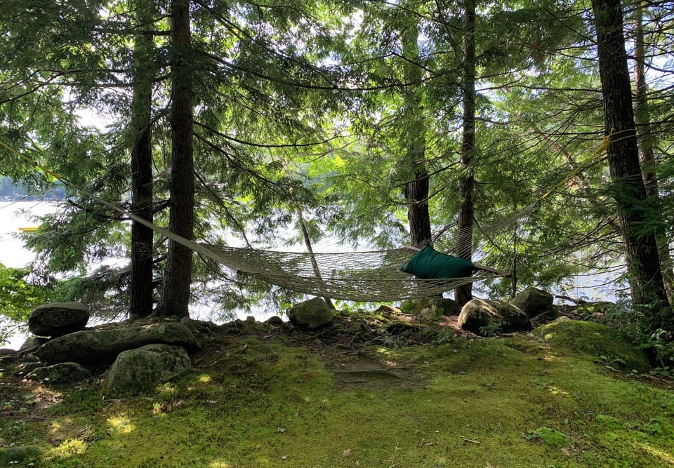 shaded hammock