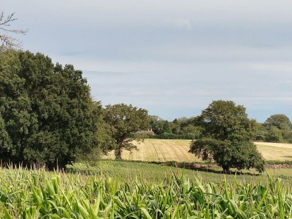 PAYSAGE MAISON D