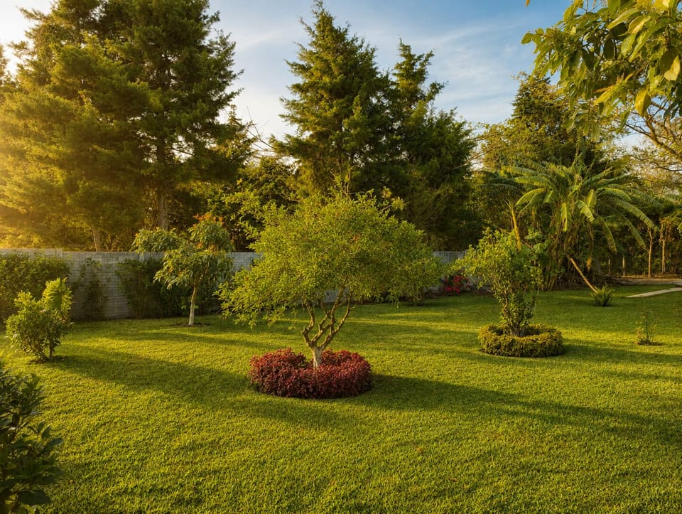 Garden