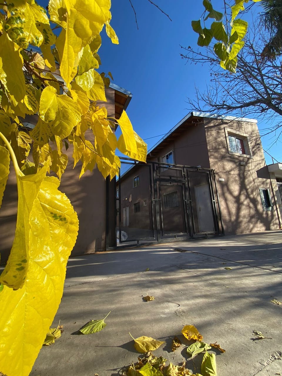 Property grounds