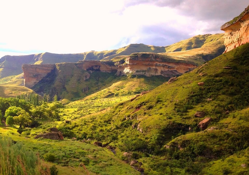 Soak up golden landscapes and fresh air beyond the city.
