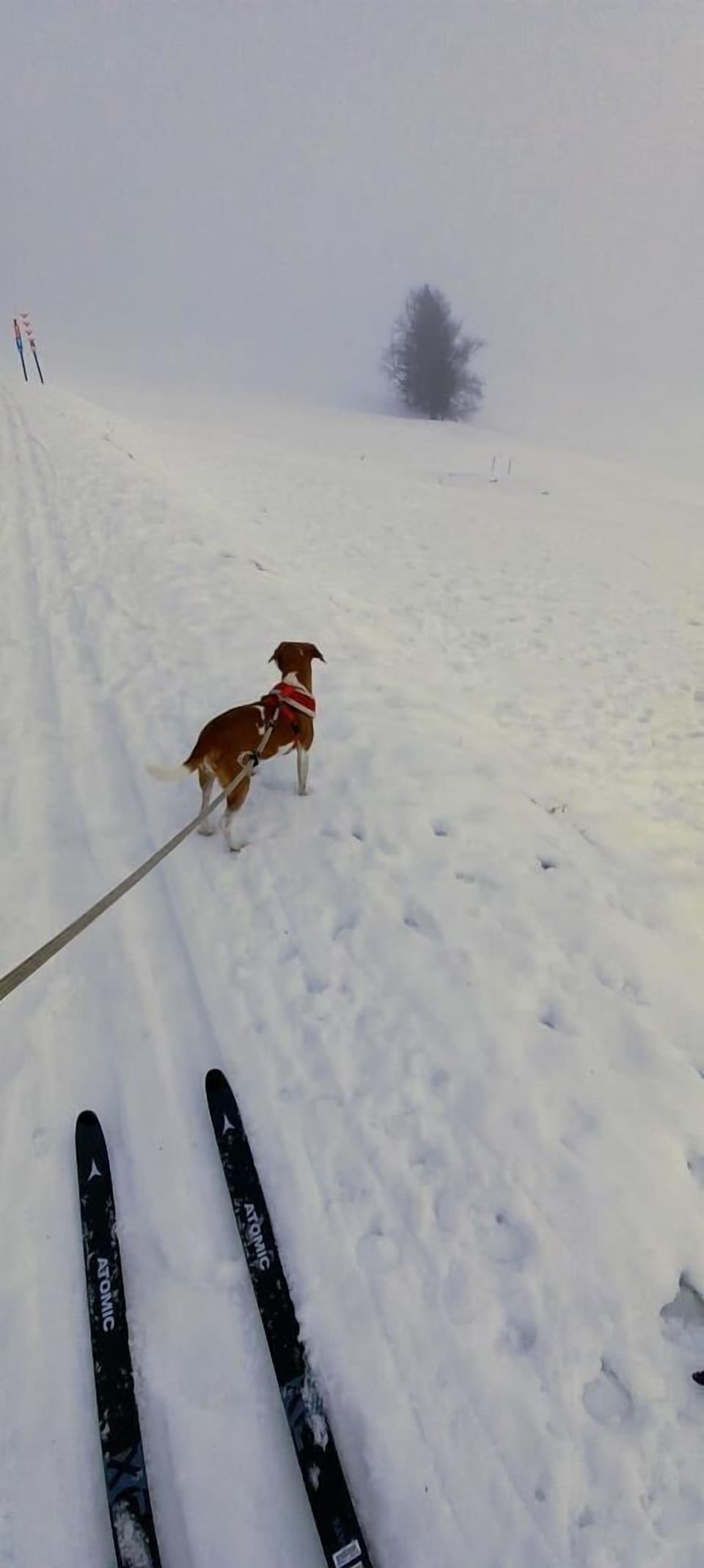 Snow and ski sports